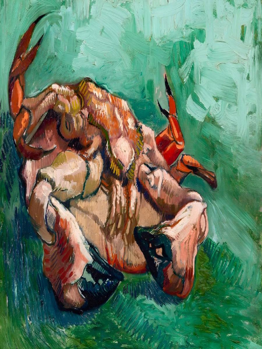Van Gogh Inspired Crab on its  - Interior Design Its review and price