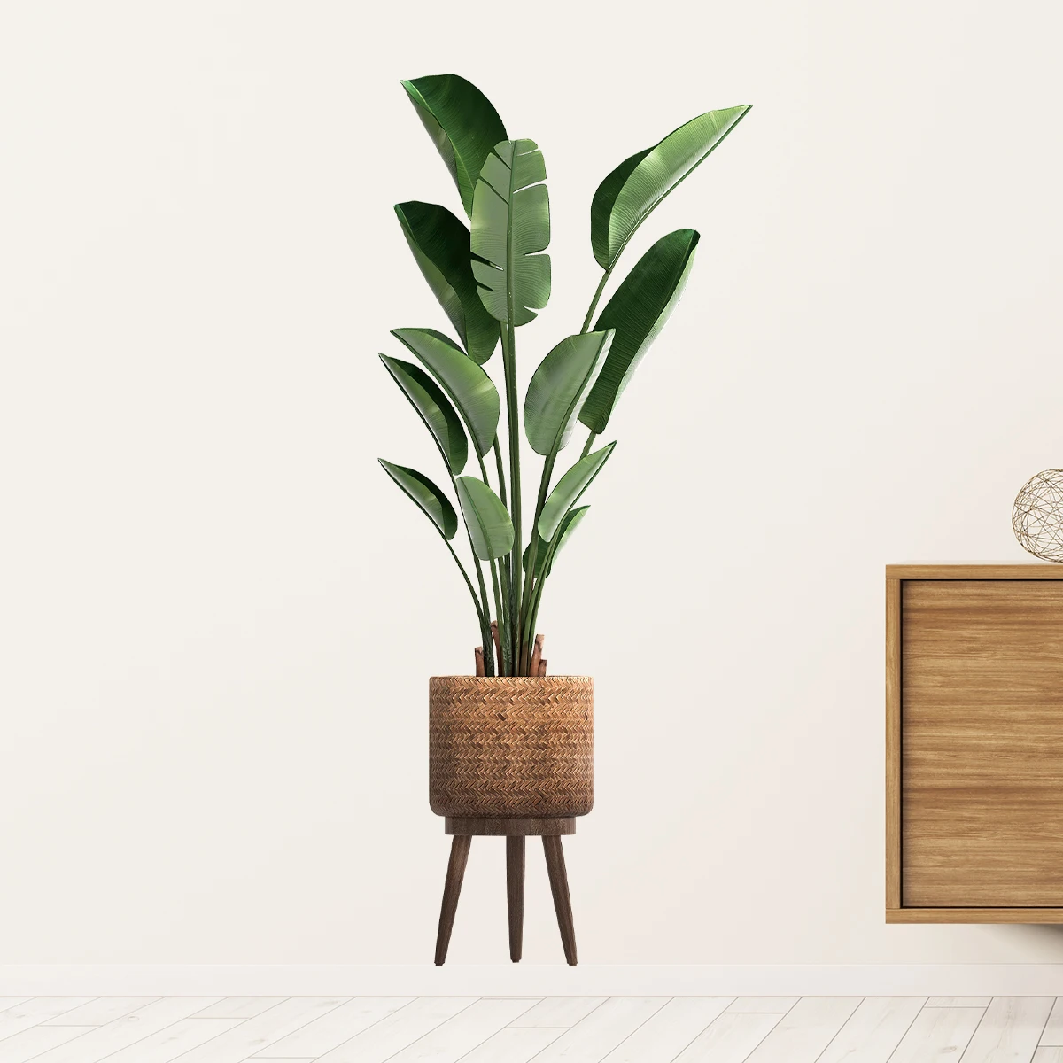 Simulation Green Plant Ornamen - Interior Design Office review and price