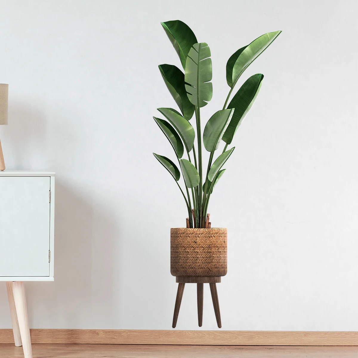 Simulation Green Plant Ornamen - Interior Design Office review and price