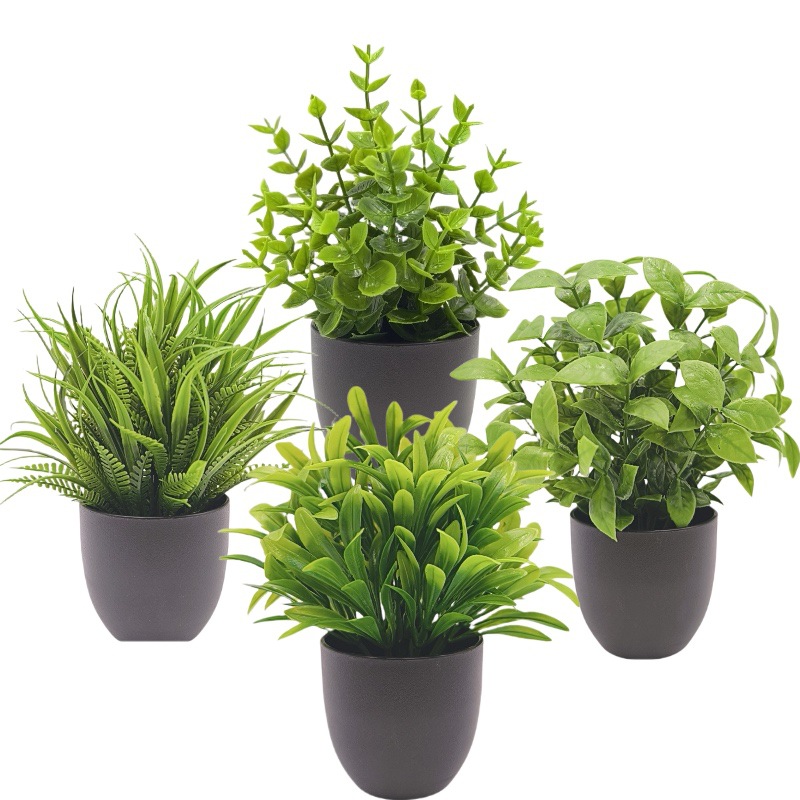 Simulation Green Plant Bonsai  - Interior Design Office review and price