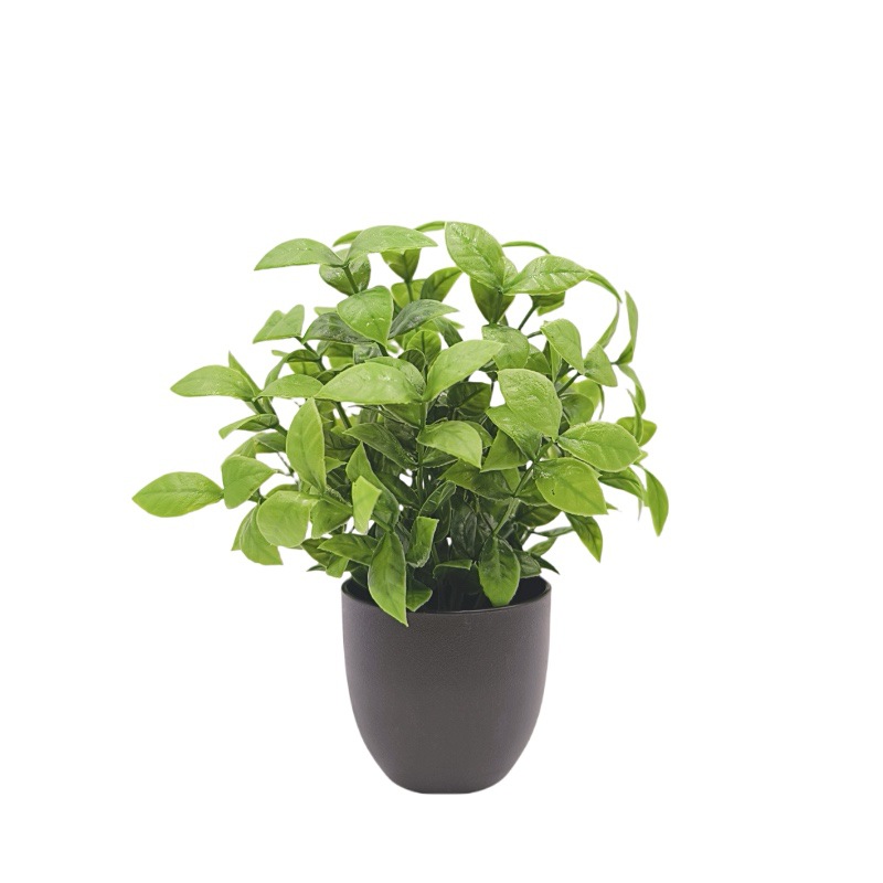 Simulation Green Plant Bonsai  - Interior Design Office review and price