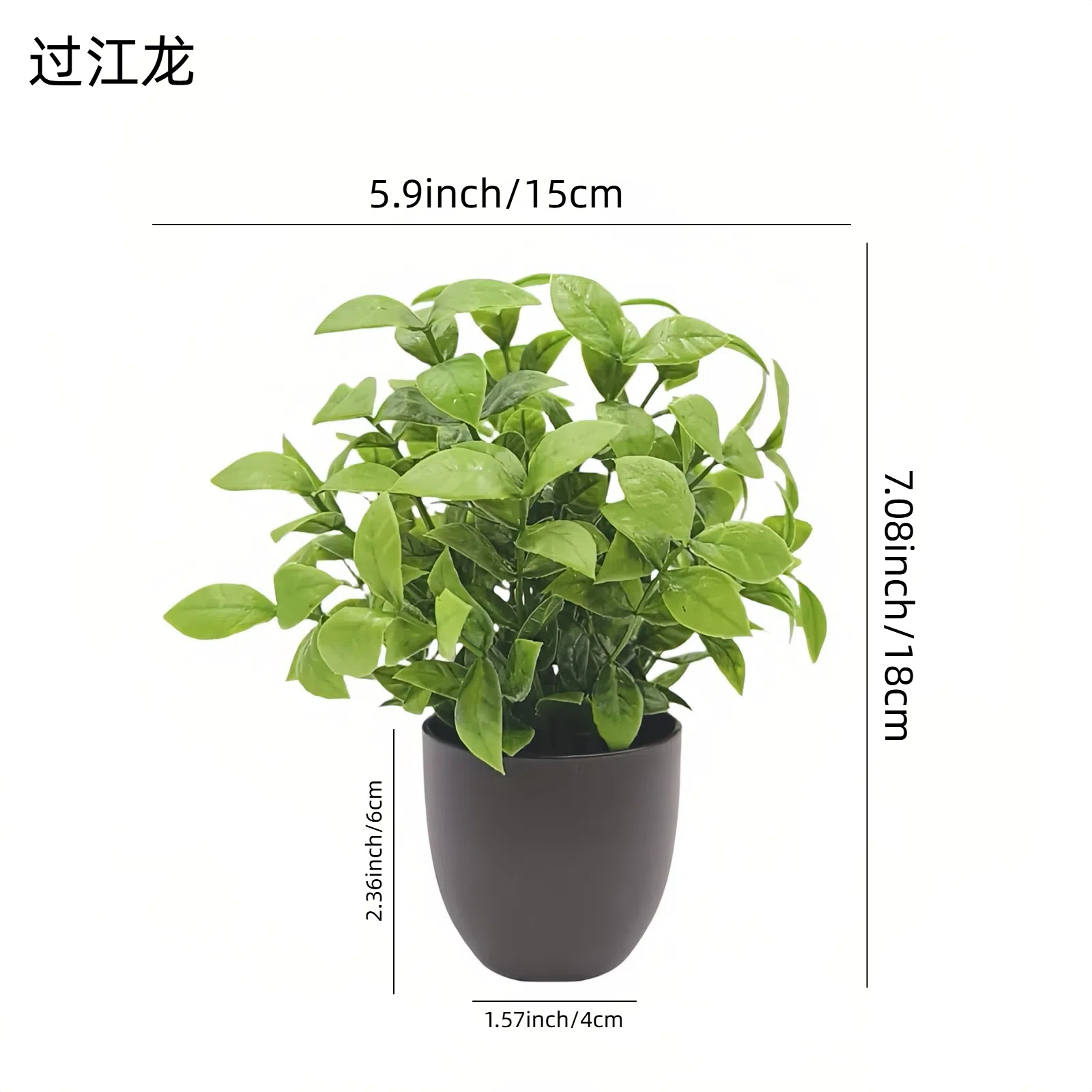 Simulation Green Plant Bonsai  - Interior Design Office review and price